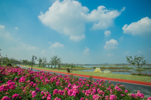 皇庆湖公园3.JPG
